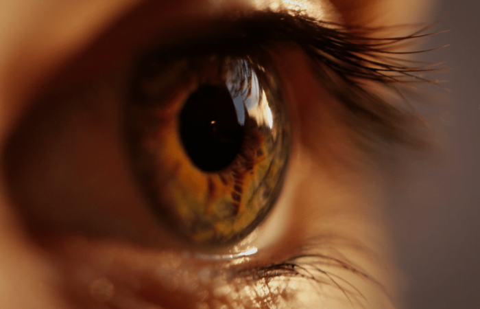 um olho castanho